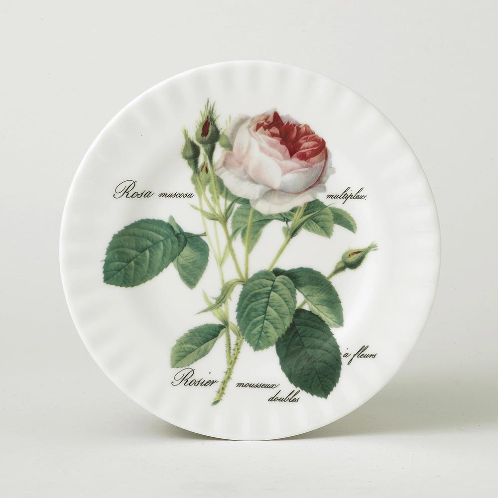 ROY KIRKHAM-0-27 cm-6 PLATO PLANO-TODOS
