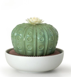 [203402] LLADRO-0-0-CACTUS ASTROPHYTUM